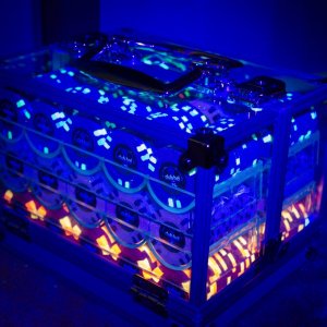 600ct Carrier Blacklight