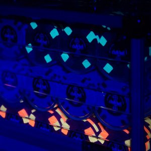 600ct Carrier Blacklight