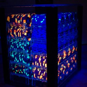 1000ct Carrier Blacklight