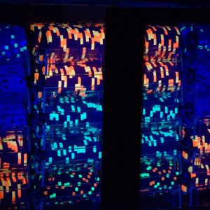 1000ct Carriers Blacklight