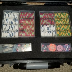 Hip Chip Case #2