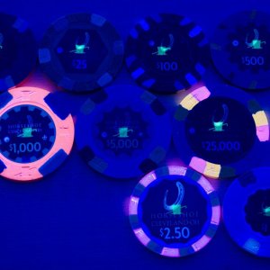 Originals: Blacklight