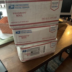 thearrival.jpeg