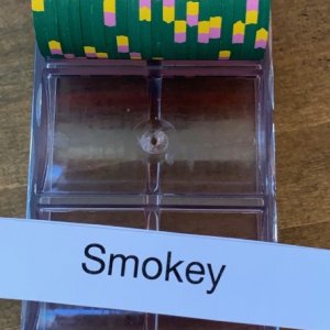 Smokey tinted