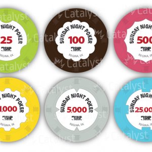 SNP Solid Chips-02.jpg