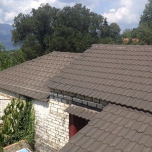 Pesta roof.jpg