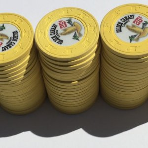 0.25 - Golden Canary