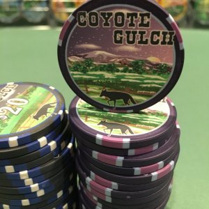 Coyote Gulch - Workhorse Non Denomination