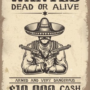 vitage-wild-west-wanted-poster-vector-6255816.jpg