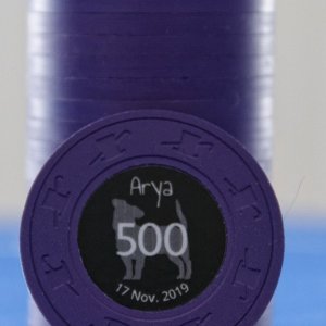 Arya - Purpe T500