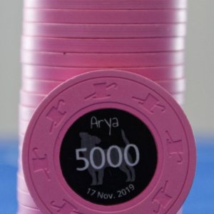 Arya - Pink T5000