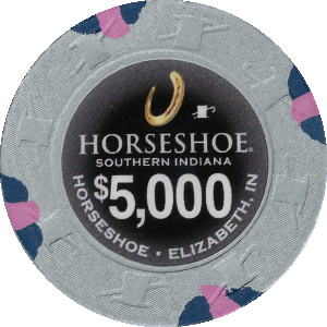 hsi-5000.png
