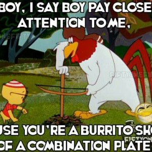 Foghorn Burritto.jpeg