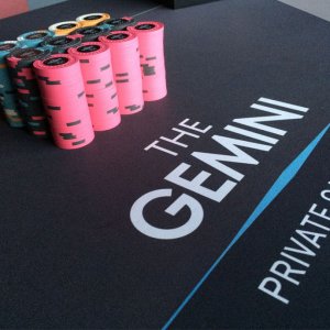 TheGemini-05