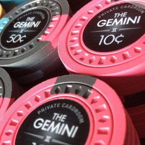 TheGemini-06