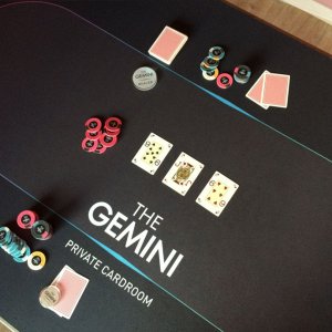 TheGemini-13