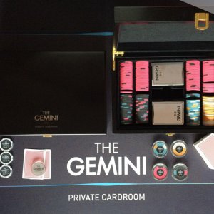 TheGemini-15