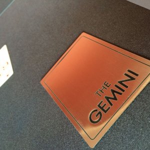 TheGemini-17