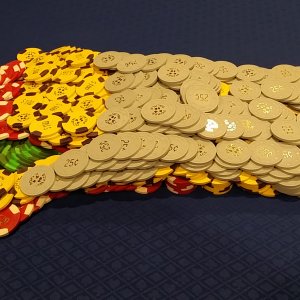 Paulson Poker Palace Chips