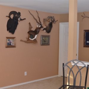 Man Cave 6