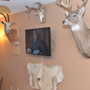 Man Cave 9