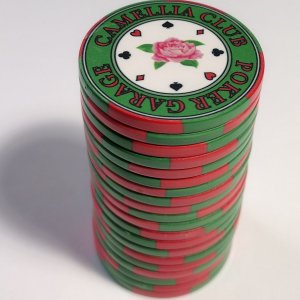 CC Challenge Chip.jpg