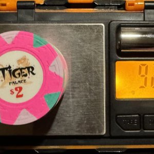 Tiger Palace Primary $2
