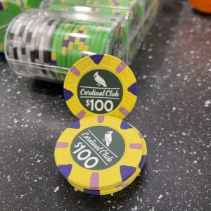 100Dchips.webp