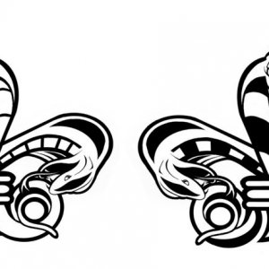 Ariel designs