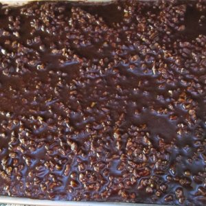 Chocolate Pecan sheet cake