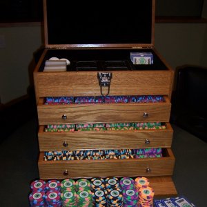 The case