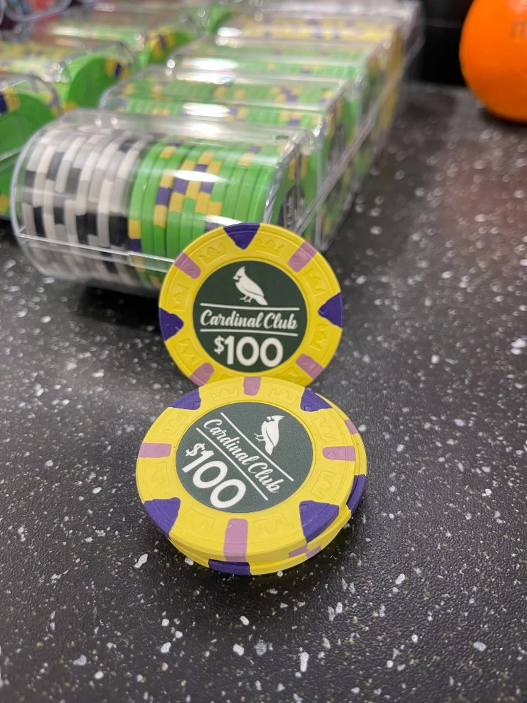 100Dchips.webp