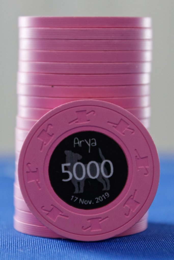 Arya - Pink T5000