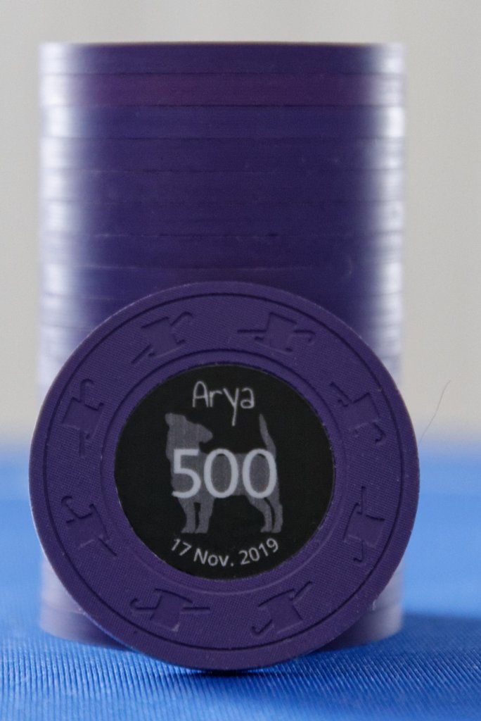 Arya - Purpe T500