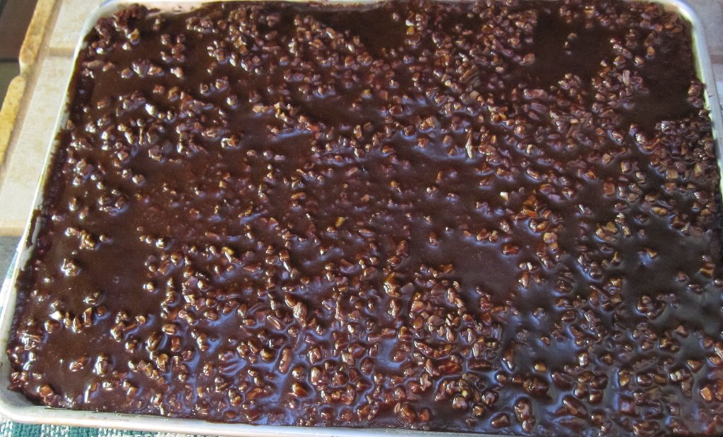 Chocolate Pecan sheet cake