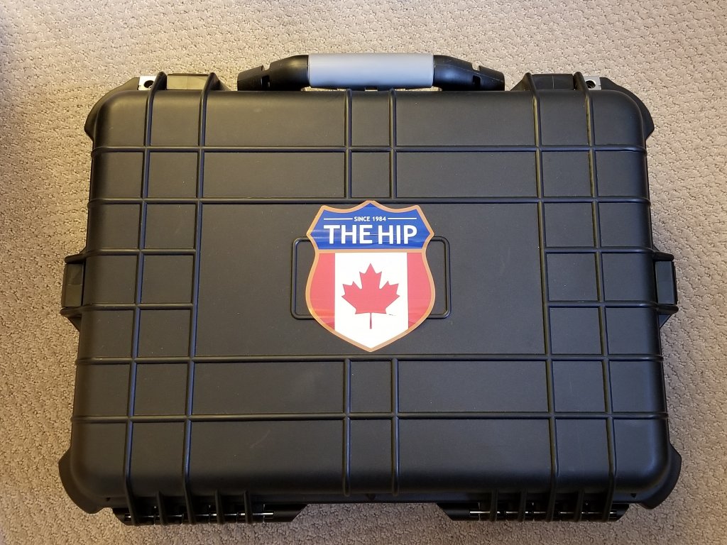 Hip Chip Case #1