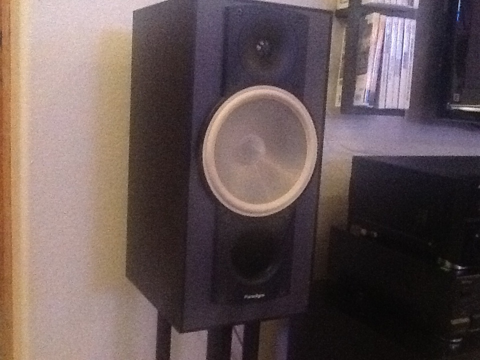 Paradigm Titan Speaker