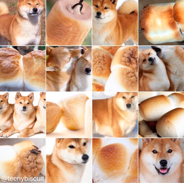 SHFGoDw.jpg