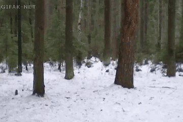 kEHo9SC.gif