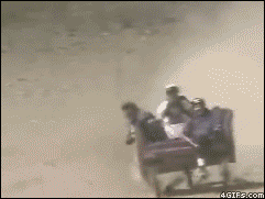 sxZXwF2.gif