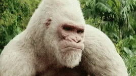 rampage-fuck-you.gif