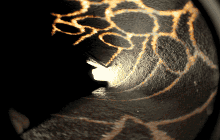 gifs_07.gif