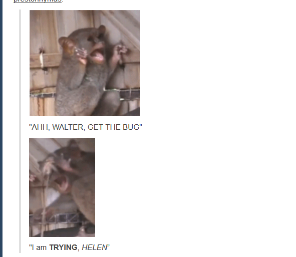aSmngQ6.png