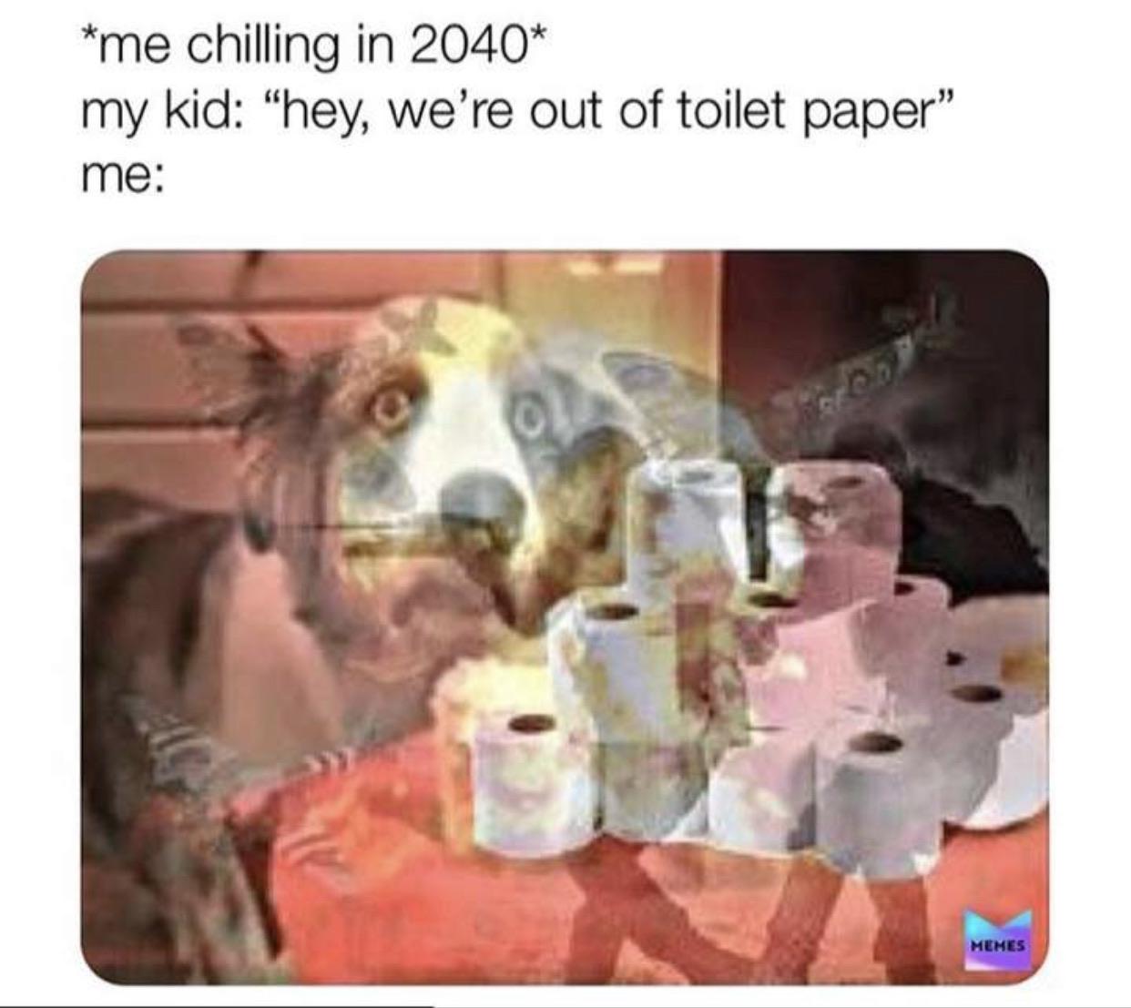 PTSD : meme