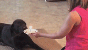 VUqys4w.gif
