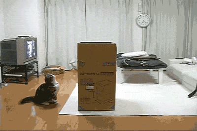 2G8rjiN.gif