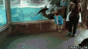 3ZRX7Rl.gif