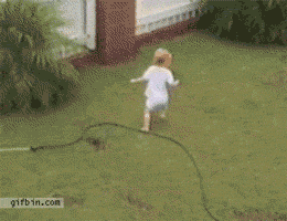 I swear i left it here somewhere... : r/funny