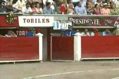 gFyS4.gif