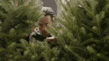 Hiding In Bushes GIFs | Tenor